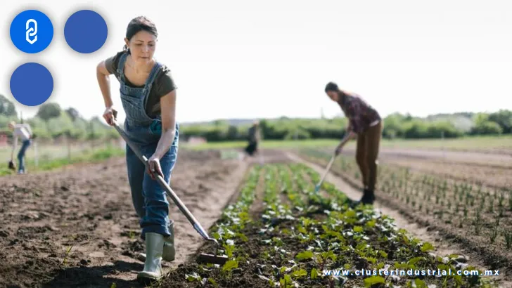 Mujeres rurales, figuras clave para el progreso de las generaciones futuras