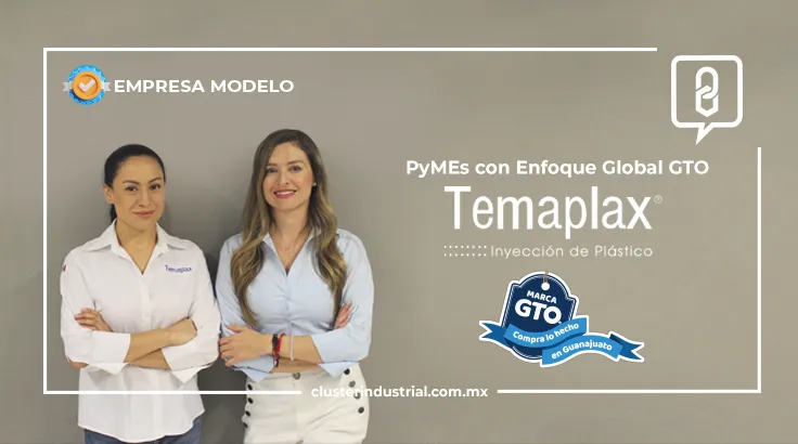 PyMEs con Enfoque Global GTO: Temaplax