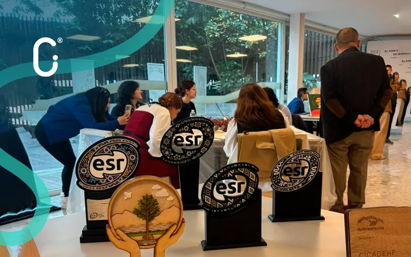 Más allá de la contratación: la inclusión laboral como estrategia de valor