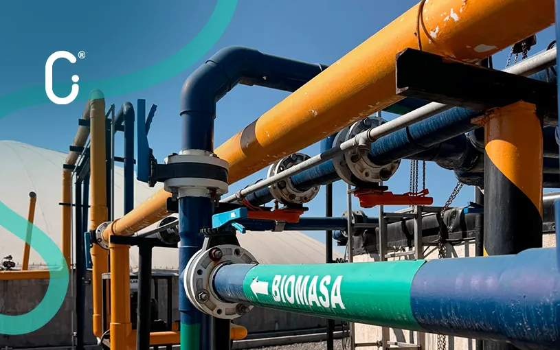 Guanajuato acelera la transición energética con impacto ambiental y económico